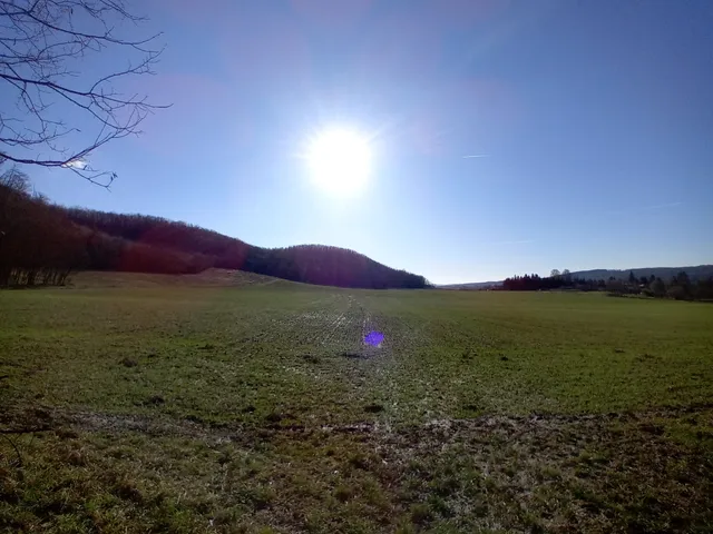 Eladó mezőgazdasági ingatlan Kisbucsa 1347 nm