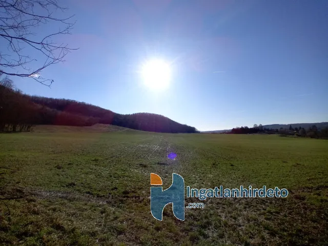 Eladó mezőgazdasági ingatlan Kisbucsa 1347 nm