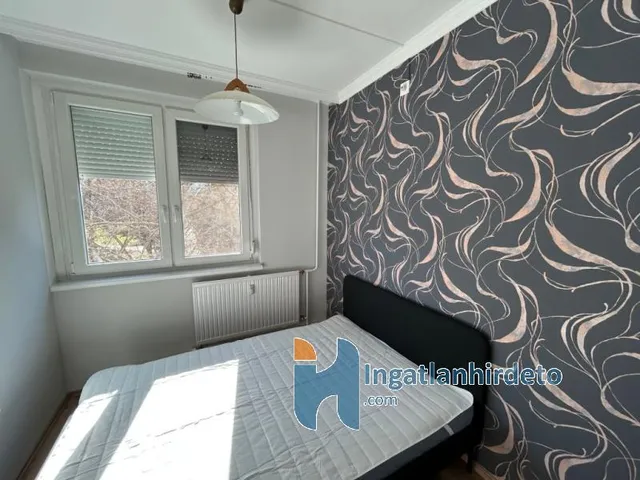 Kiadó lakás Debrecen, Egyetemváros