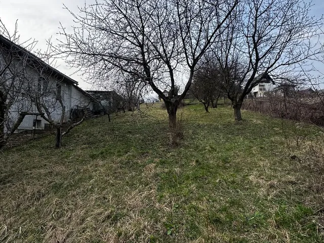 Eladó mezőgazdasági ingatlan Zalaegerszeg 1750 nm