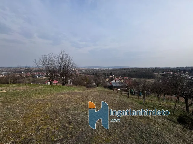 Eladó mezőgazdasági ingatlan Zalaegerszeg 1750 nm