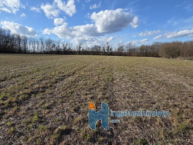 Eladó mezőgazdasági ingatlan Alsópáhok 9116 nm