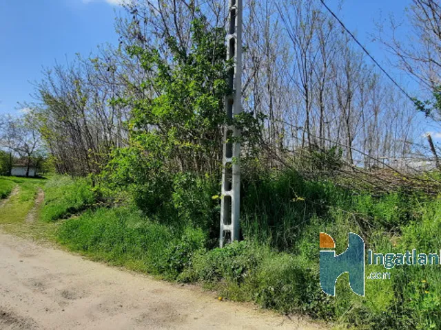 Eladó mezőgazdasági ingatlan Alsópáhok 4489 nm
