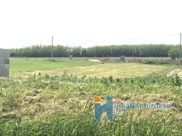 Eladó mezőgazdasági ingatlan Alsópáhok 1100 nm