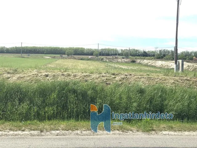 Eladó mezőgazdasági ingatlan Alsópáhok 1100 nm