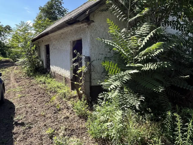 Eladó mezőgazdasági ingatlan Nyíregyháza, Sertéstelep 80 nm
