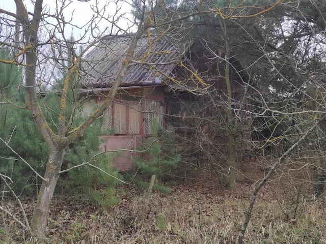 Eladó mezőgazdasági ingatlan Nyíregyháza, Borbánya 817 nm