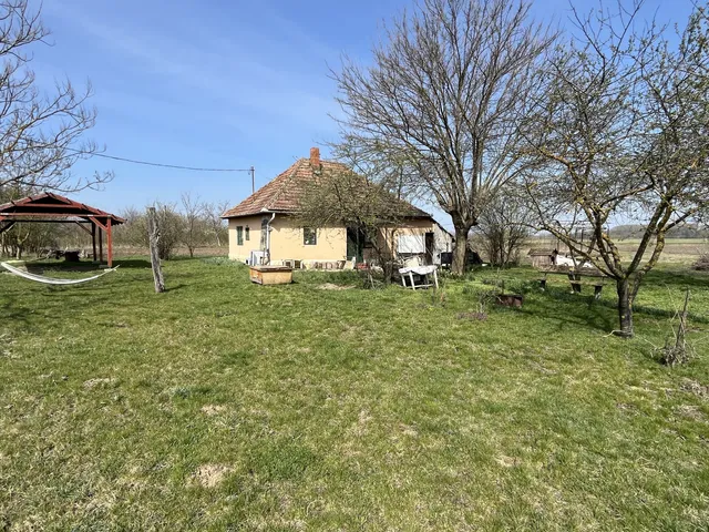 Eladó mezőgazdasági ingatlan Nyíregyháza 48 nm