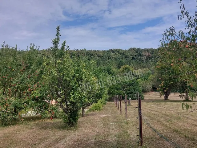 Eladó telek Balatongyörök 24 nm