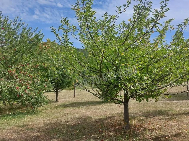 Eladó telek Balatongyörök 24 nm