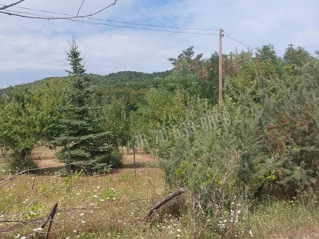 Eladó telek Balatongyörök 24 nm