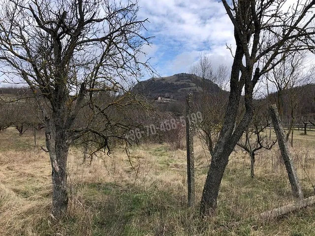 Eladó telek Gyulakeszi 7181 nm