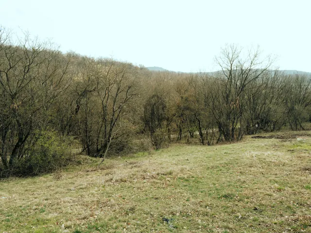 Eladó telek Balatonszőlős 1342 nm