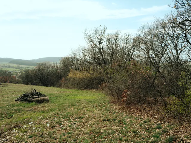 Eladó telek Balatonszőlős 1342 nm