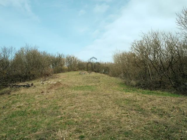 Eladó telek Balatonszőlős 1783 nm