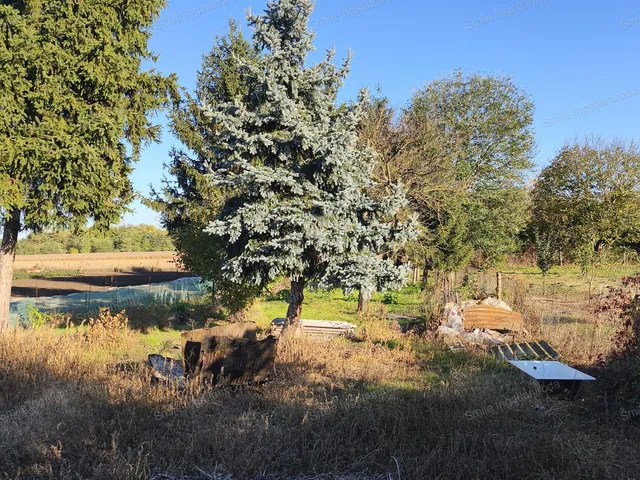 Eladó ház Nyírtelek 50 nm