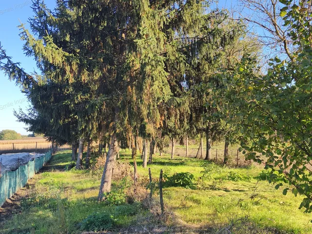 Eladó ház Nyírtelek 50 nm