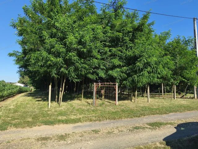 Eladó telek Nyíregyháza, Nyírszőlős 1350 nm