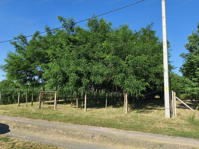 Eladó telek Nyíregyháza, Nyírszőlős 1350 nm