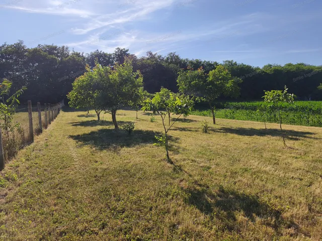 Eladó telek Nyíregyháza, Nyírszőlős 1205 nm