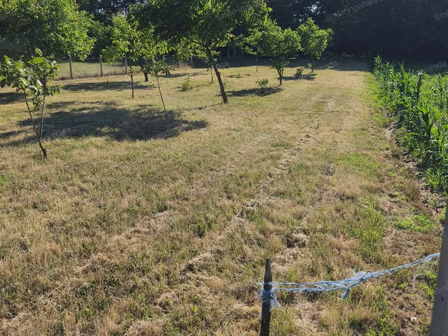 Eladó telek Nyíregyháza, Nyírszőlős 1205 nm