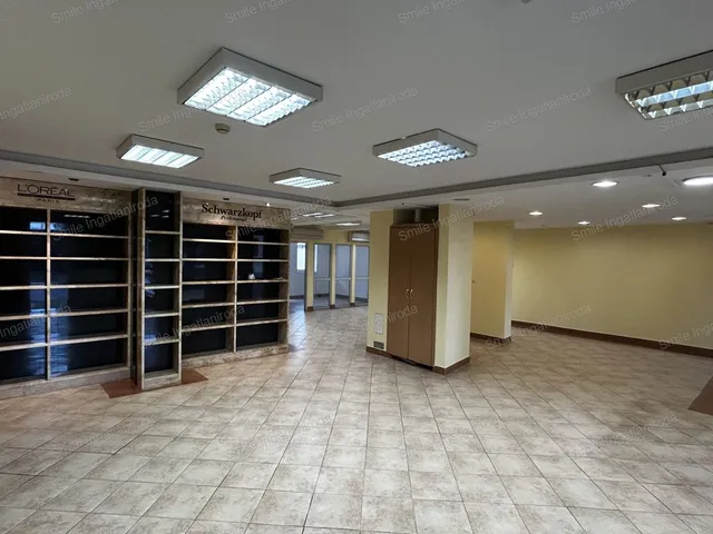 Kiadó kereskedelmi és ipari ingatlan Nyíregyháza, Belváros 130 nm