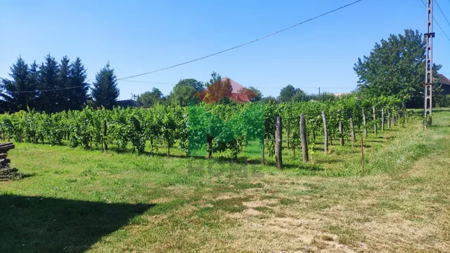 Eladó mezőgazdasági ingatlan Marcali 1103 nm