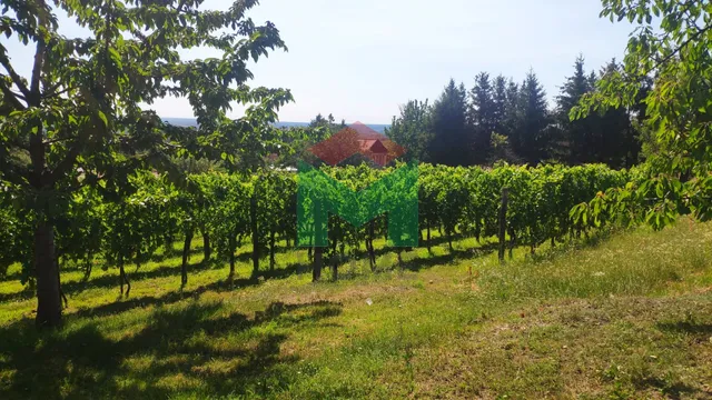 Eladó mezőgazdasági ingatlan Marcali 1103 nm