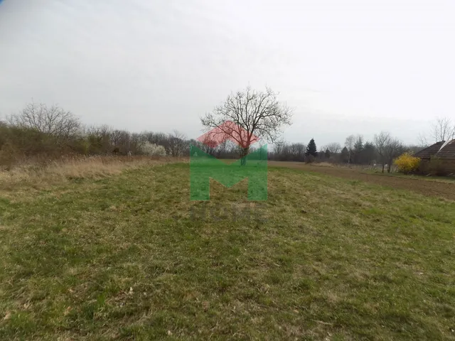 Eladó mezőgazdasági ingatlan Szentgyörgyvár 8088 nm