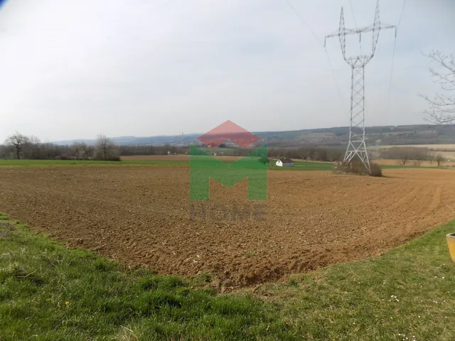Eladó mezőgazdasági ingatlan Szentgyörgyvár 17500 nm