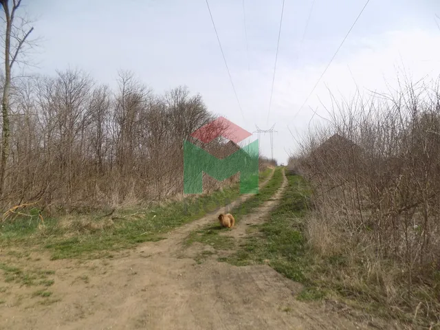 Eladó mezőgazdasági ingatlan Szentgyörgyvár 17500 nm