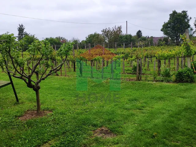 Eladó mezőgazdasági ingatlan Marcali 42 nm