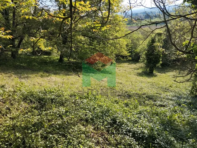 Eladó mezőgazdasági ingatlan Marcali 1800 nm