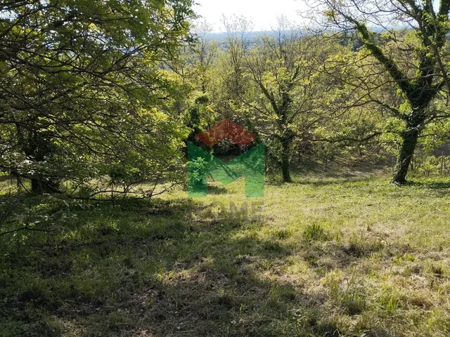 Eladó mezőgazdasági ingatlan Marcali 1800 nm