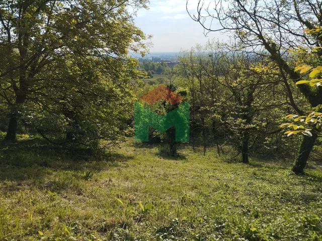 Eladó mezőgazdasági ingatlan Marcali, Szőlőhegy 1800 nm