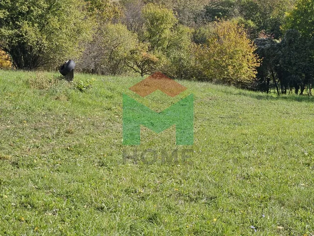 Eladó mezőgazdasági ingatlan Marcali 2726 nm