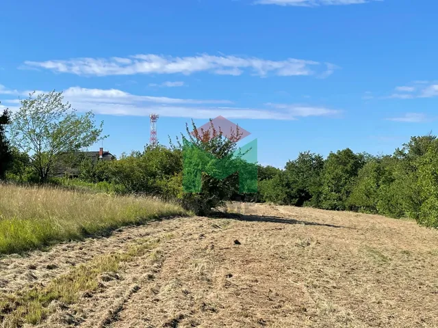 Eladó mezőgazdasági ingatlan Balatonberény 3607 nm