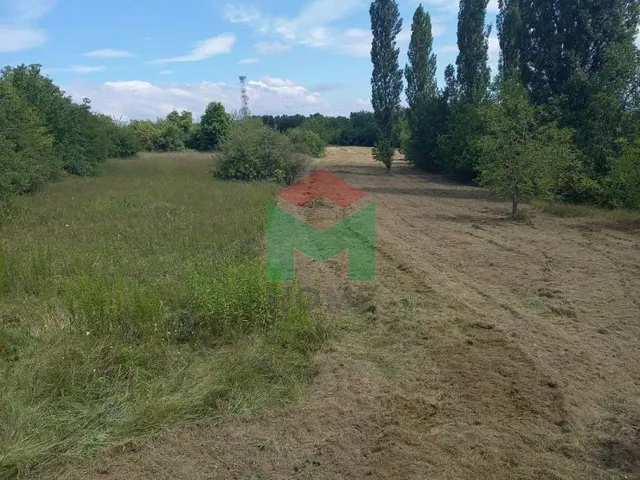 Eladó mezőgazdasági ingatlan Balatonberény 3607 nm