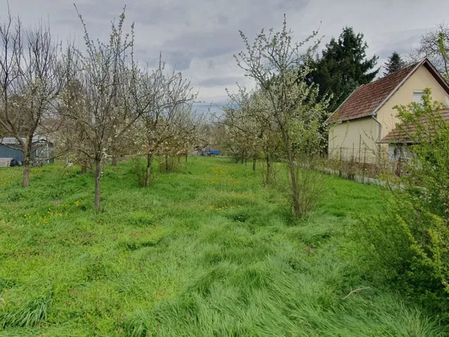 Eladó mezőgazdasági ingatlan Békéscsaba 810 nm