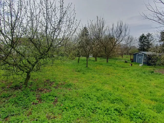 Eladó mezőgazdasági ingatlan Békéscsaba 810 nm