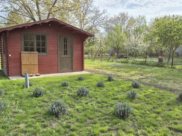 Eladó mezőgazdasági ingatlan Békéscsaba 908 nm