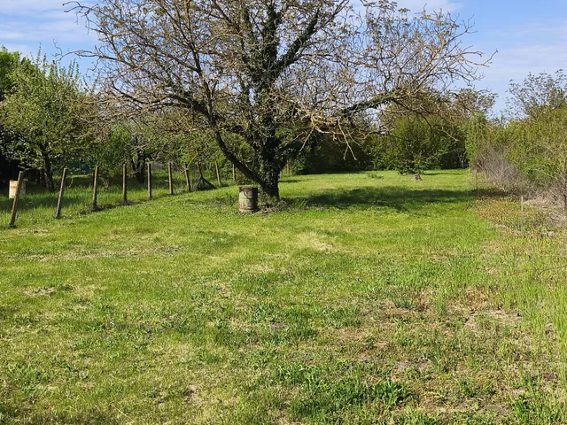 Eladó mezőgazdasági ingatlan Békéscsaba 806 nm