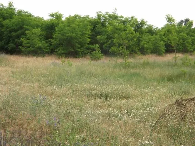 Eladó mezőgazdasági ingatlan Lajosmizse 800 nm