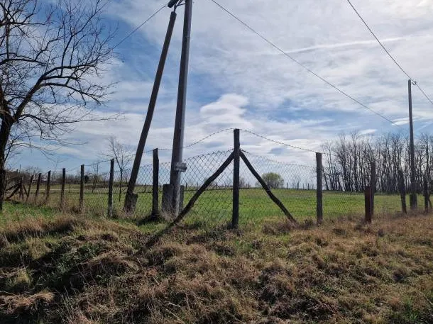 Eladó mezőgazdasági ingatlan Dabas 2562 nm