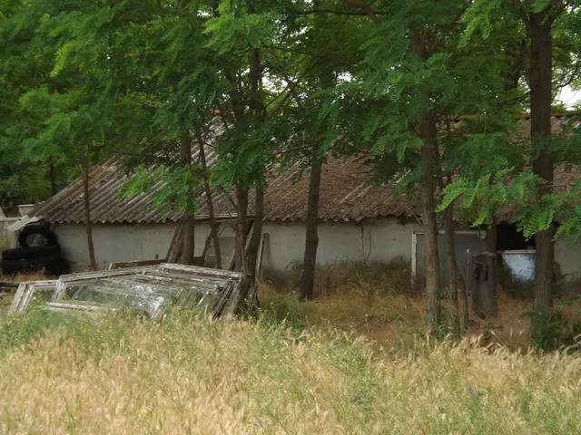 Eladó mezőgazdasági ingatlan Lajosmizse 800 nm