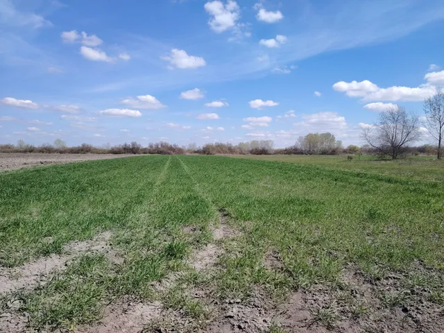 Eladó mezőgazdasági ingatlan Bugyi 6737 nm