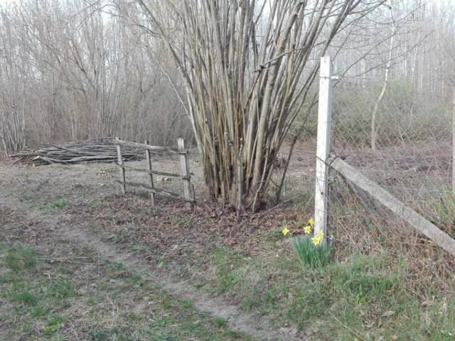 Eladó telek Ráckeve 367 nm