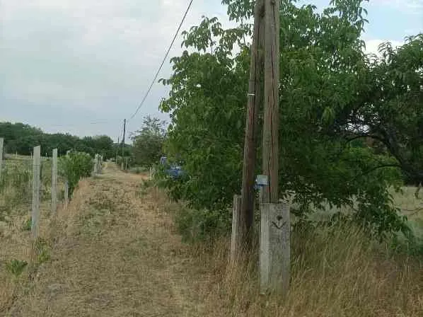 Eladó mezőgazdasági ingatlan Csemő 2 nm