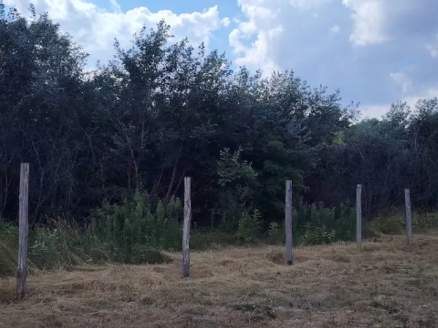 Eladó telek Lajosmizse 1081 nm