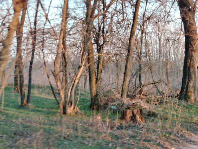 Eladó mezőgazdasági ingatlan Hernád 222702 nm